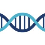 Mengenal Rekayasa Genetika: Masa Depan Ilmu Biologi yang Penuh Potensi