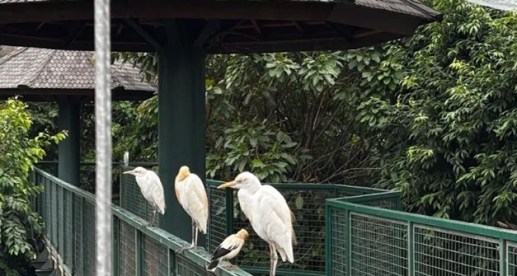 Panduan Lengkap Liburan Seharian di Dufan Ancol dan Jakarta Birdland
