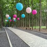 Bukit Aslan Lampung, Wisata Bukit Hits dengan View Laut, Gunung, dan City Light Bandar Lampung