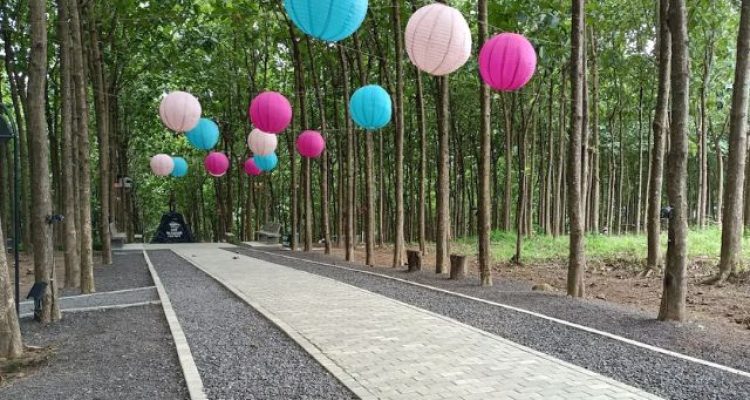 Bukit Aslan Lampung, Wisata Bukit Hits dengan View Laut, Gunung, dan City Light Bandar Lampung