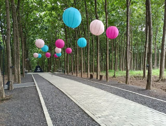 Bukit Aslan Lampung, Wisata Bukit Hits dengan View Laut, Gunung, dan City Light Bandar Lampung