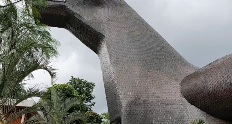 Review Museum Komodo TMII Terbaru 2026. Wisata Edukasi Reptil di Taman Mini Indonesia Indah yang Wajib Dikunjungi