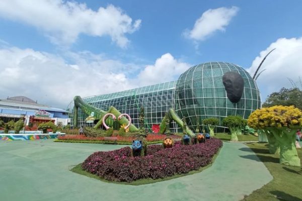 6 Rekomendasi Tempat Wisata Malang Jawa Timur Terfavorit untuk Liburan Keluarga dan Healing