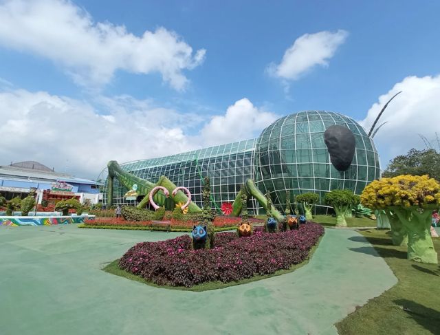 6 Rekomendasi Tempat Wisata Malang Jawa Timur Terfavorit untuk Liburan Keluarga dan Healing