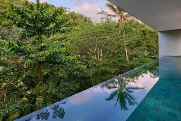 Review Anantara Ubud Bali Resort, Hidden Gem Staycation Mewah di Tengah Hutan Bali