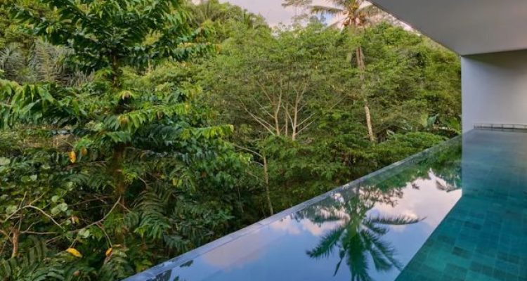 Review Anantara Ubud Bali Resort, Hidden Gem Staycation Mewah di Tengah Hutan Bali