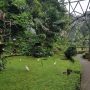 Tips Berkunjung dan Review Lengkap Wisata Edukasi Taman Burung TMII Terbaru 2026