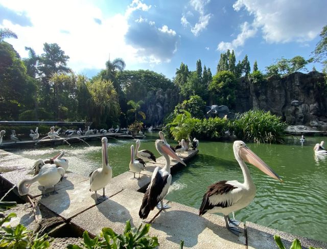 Tips Liburan Keluarga Edukatif dan Seru Dengan Wisata Kebun Binatang Ragunan Jakarta Murah Meriah