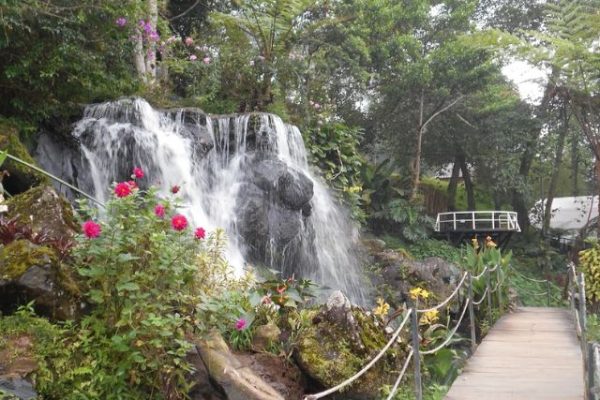 Ecopark Curug Tilu Rancabali Bandung, Wisata Alam dan Glamping View Kebun Teh yang Bikin Betah