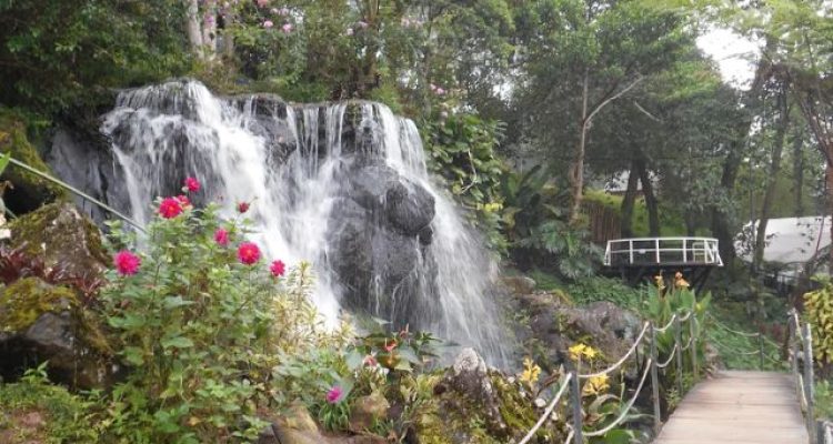 Ecopark Curug Tilu Rancabali Bandung, Wisata Alam dan Glamping View Kebun Teh yang Bikin Betah