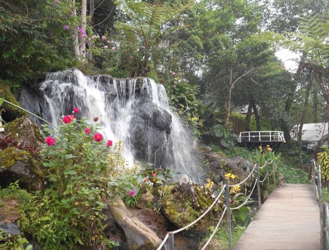Ecopark Curug Tilu Rancabali Bandung, Wisata Alam dan Glamping View Kebun Teh yang Bikin Betah