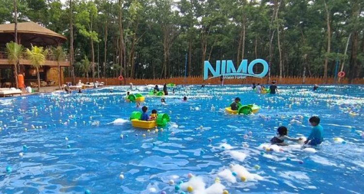 Nimo Water Forest Purwakarta, Wisata Kolam Renang Pasir Putih di Tengah Hutan Tropis yang Sedang Viral