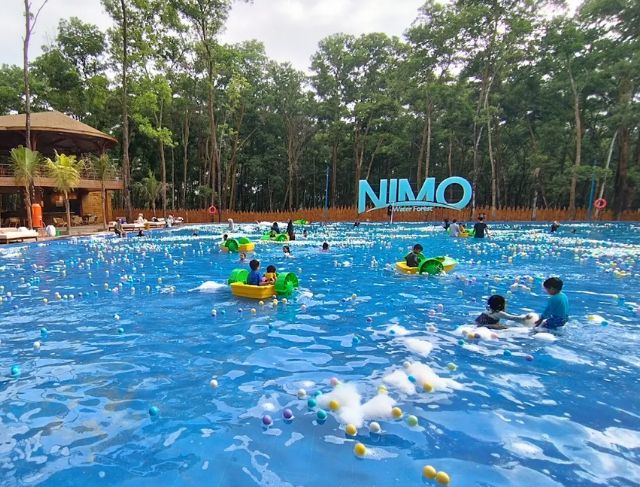 Nimo Water Forest Purwakarta, Wisata Kolam Renang Pasir Putih di Tengah Hutan Tropis yang Sedang Viral