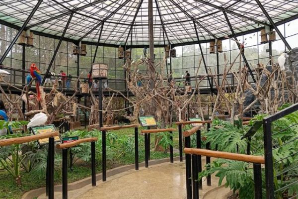 Wisata di Lembang Park & Zoo Bandung