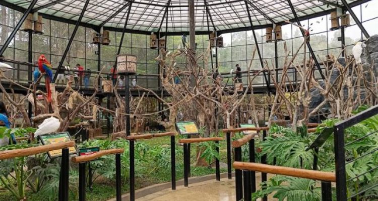 Wisata di Lembang Park & Zoo Bandung