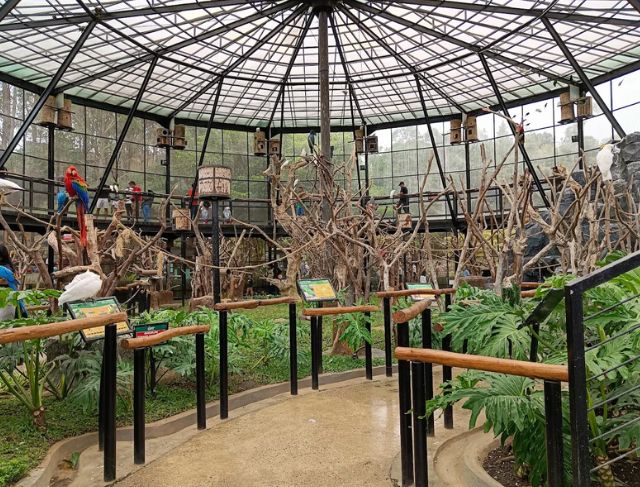 Wisata di Lembang Park & Zoo Bandung
