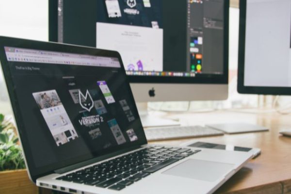 Panduan Memilih Media Backlink Nasional dan Lokal dari Data Harga