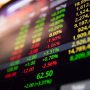 Cara Membaca Saham untuk Pemula